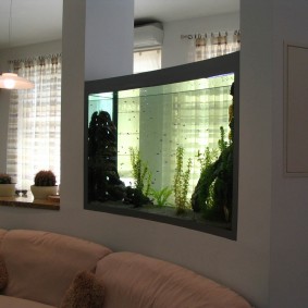 Akuarium kaca di dalam partition melengkung