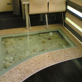 Penduduk laut di akuarium di atas lantai