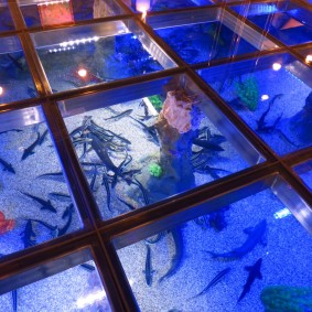 Ikan hidup di bawah kaca terbaring di atas lantai di dalam dewan