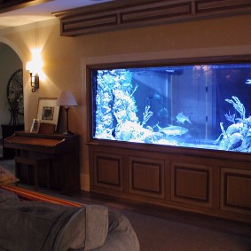 Akuarium besar di dinding ruang tamu
