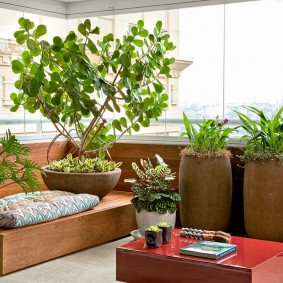 Wintertuin op een verwarmde loggia