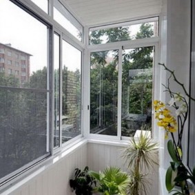 Hoa lan trên ban công có cửa sổ trượt