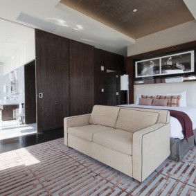 Canapea directă într-o cameră cu perete despărțitor