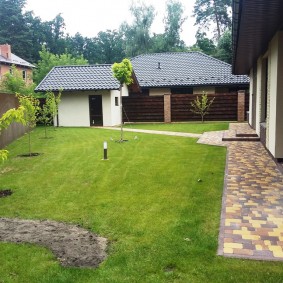 Jeunes plants le long de la clôture ondulée