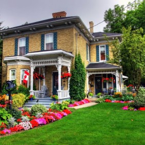 Fleurs rouges dans le paysage d'un chalet d'été