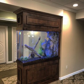 Akuarium minimalis sempit